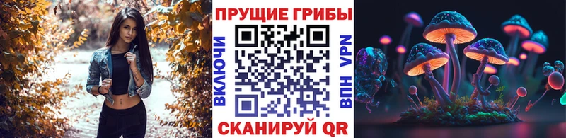 Галлюциногенные грибы MAGIC MUSHROOMS Сальск